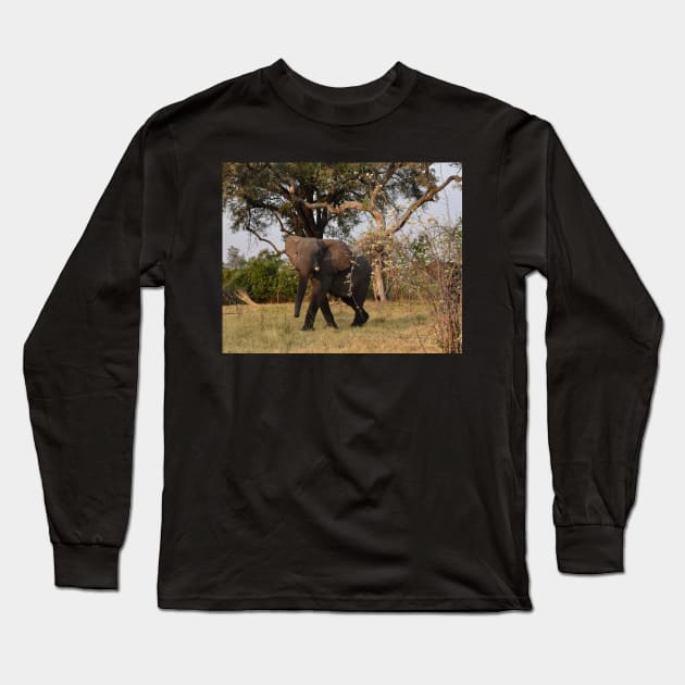 Young African Bull Elephant Long Sleeve T-Shirt by Steves-Pics